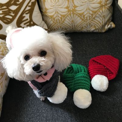 🧣🐶 ふわふわウール・ペット用スカーフ（犬・猫用）