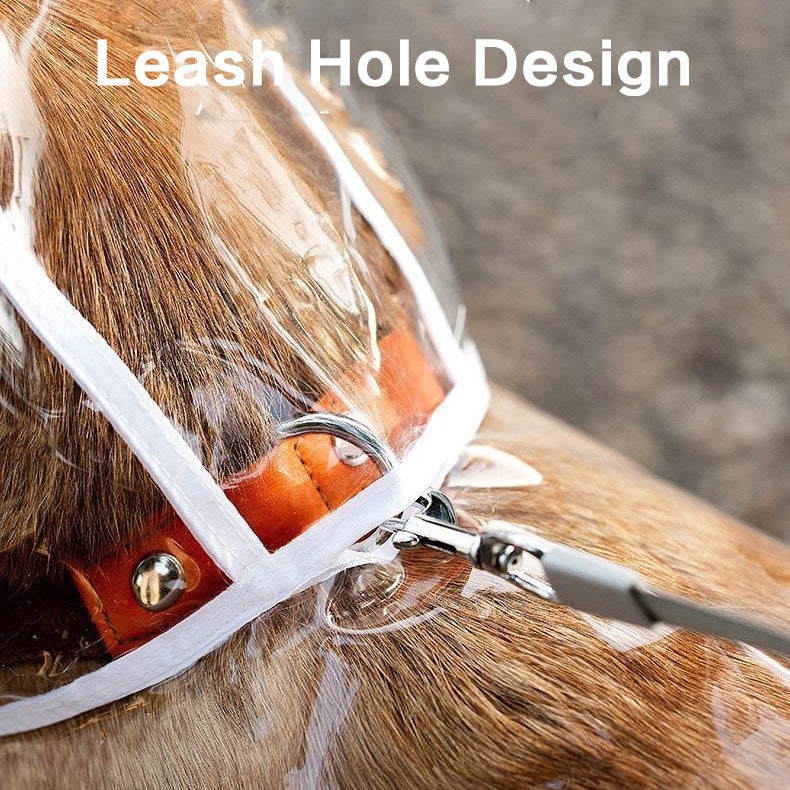 🌧️🐶 透明ペットレインコート（白ふち加工・環境にやさしいEVA素材）