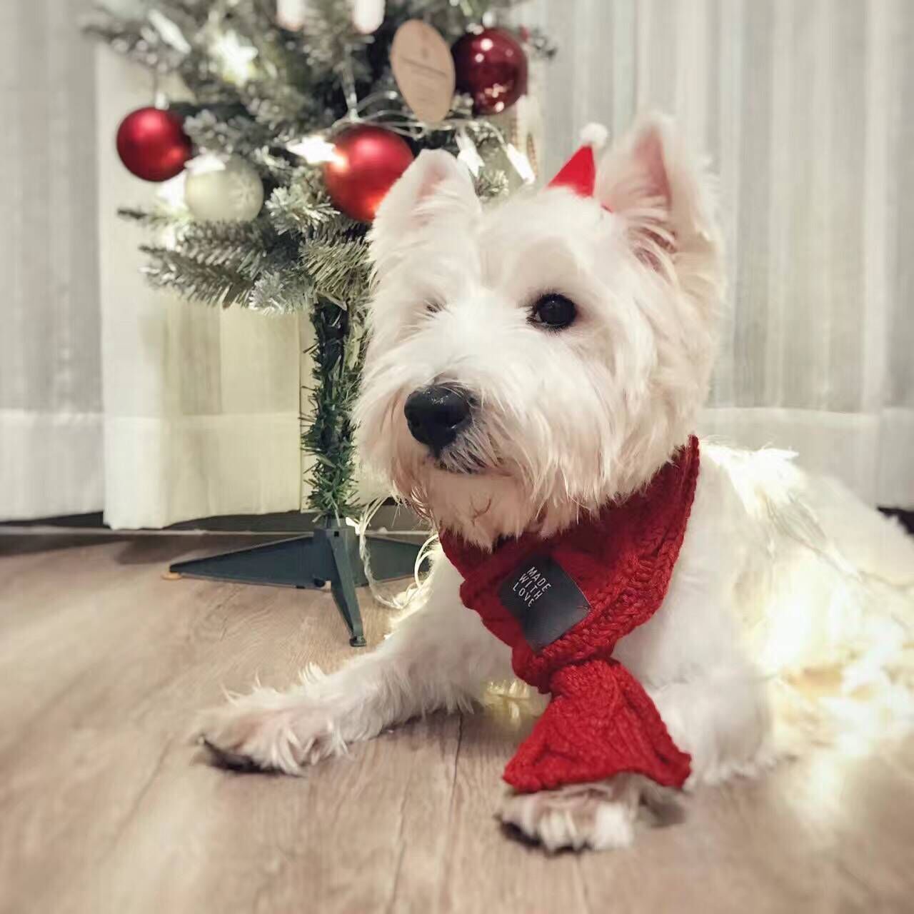 🐶🎄 ふわふわウールのあったかペット用スカーフ（犬・猫用）